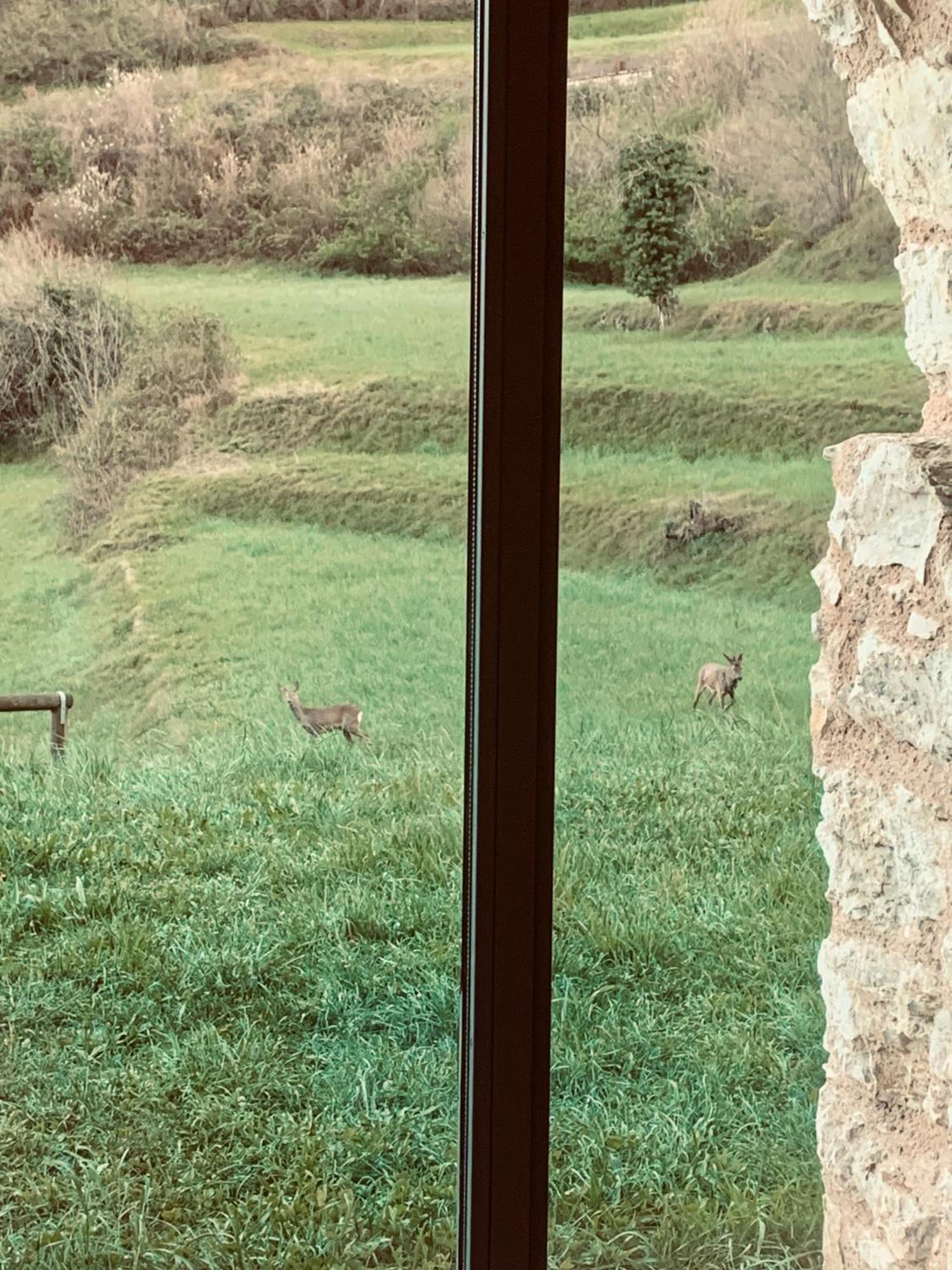 Borgo Paradiso Villa Tignale Esterno foto
